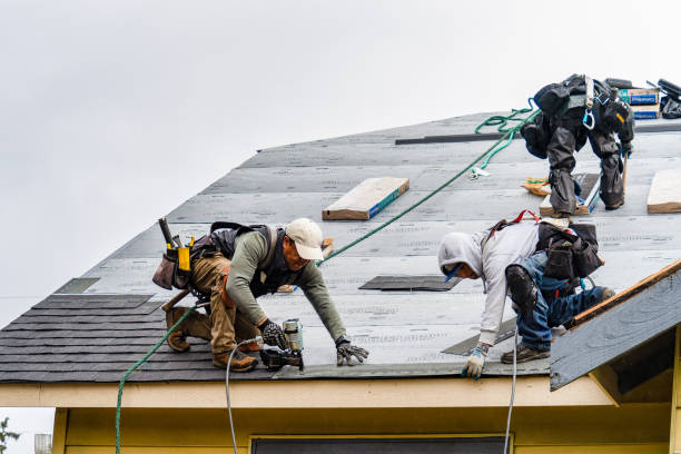 Professional Roofing technician working in Lincoln, IL
